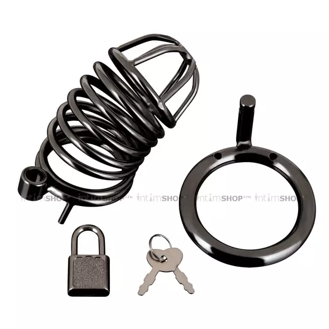 Пояс верности с замком BlueLine Deluxe Chastity Cage, черный